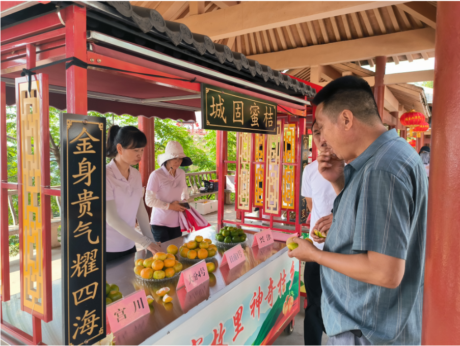 柑桔飘香，又是一年好“丰”景