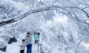 汉中市“三项措施”抓好土壤污染防治工作缩略图